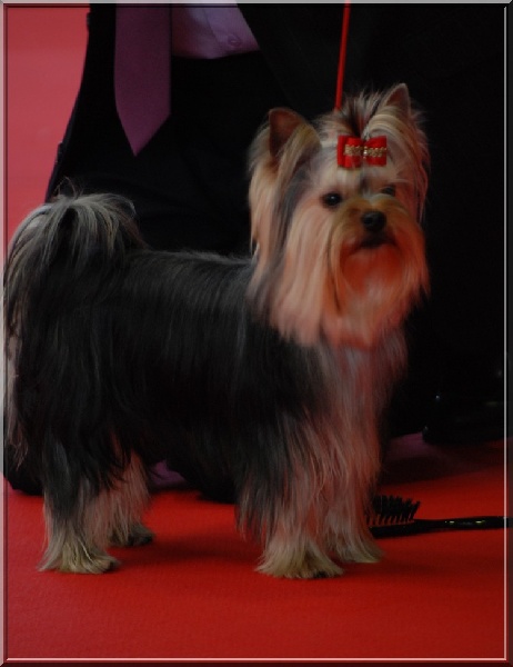 Einstein de Brunehault